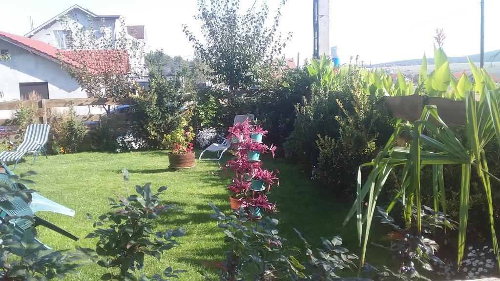 Casa Altius Felix Daire Băile Felix Dış mekan fotoğraf