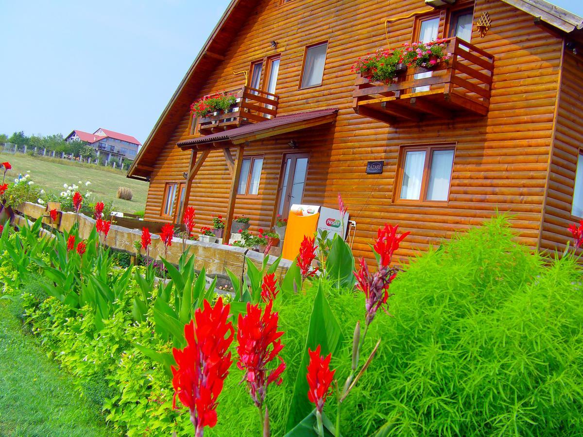 Casa Altius Felix Daire Băile Felix Dış mekan fotoğraf
